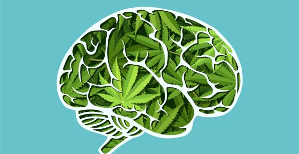 How Does CBD Affect the Brain?
